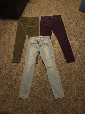 CAbi Olive Green, Plum, and Light Wash Trio - Women's Pants
